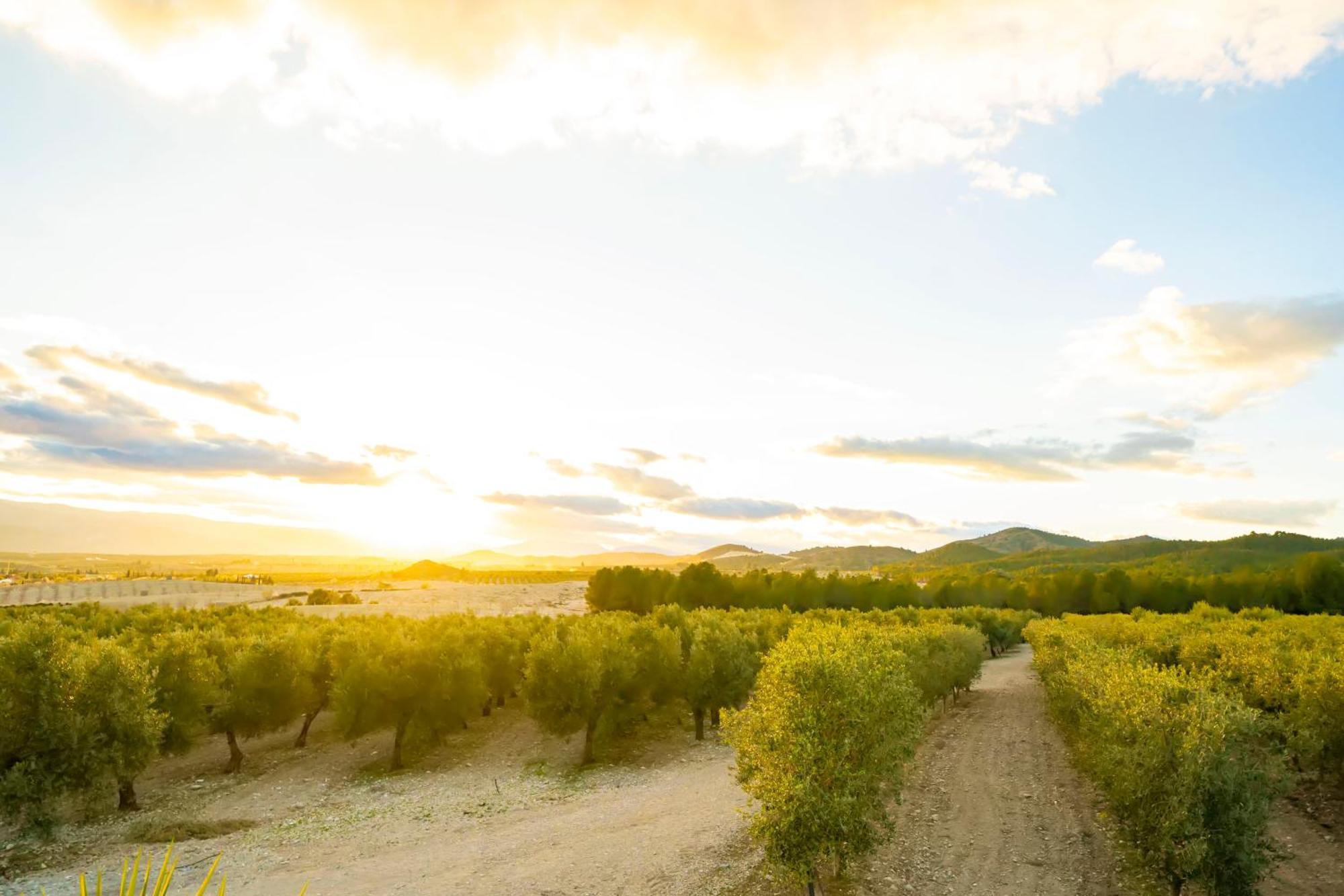 Finca El Espilo Lucar エクステリア 写真