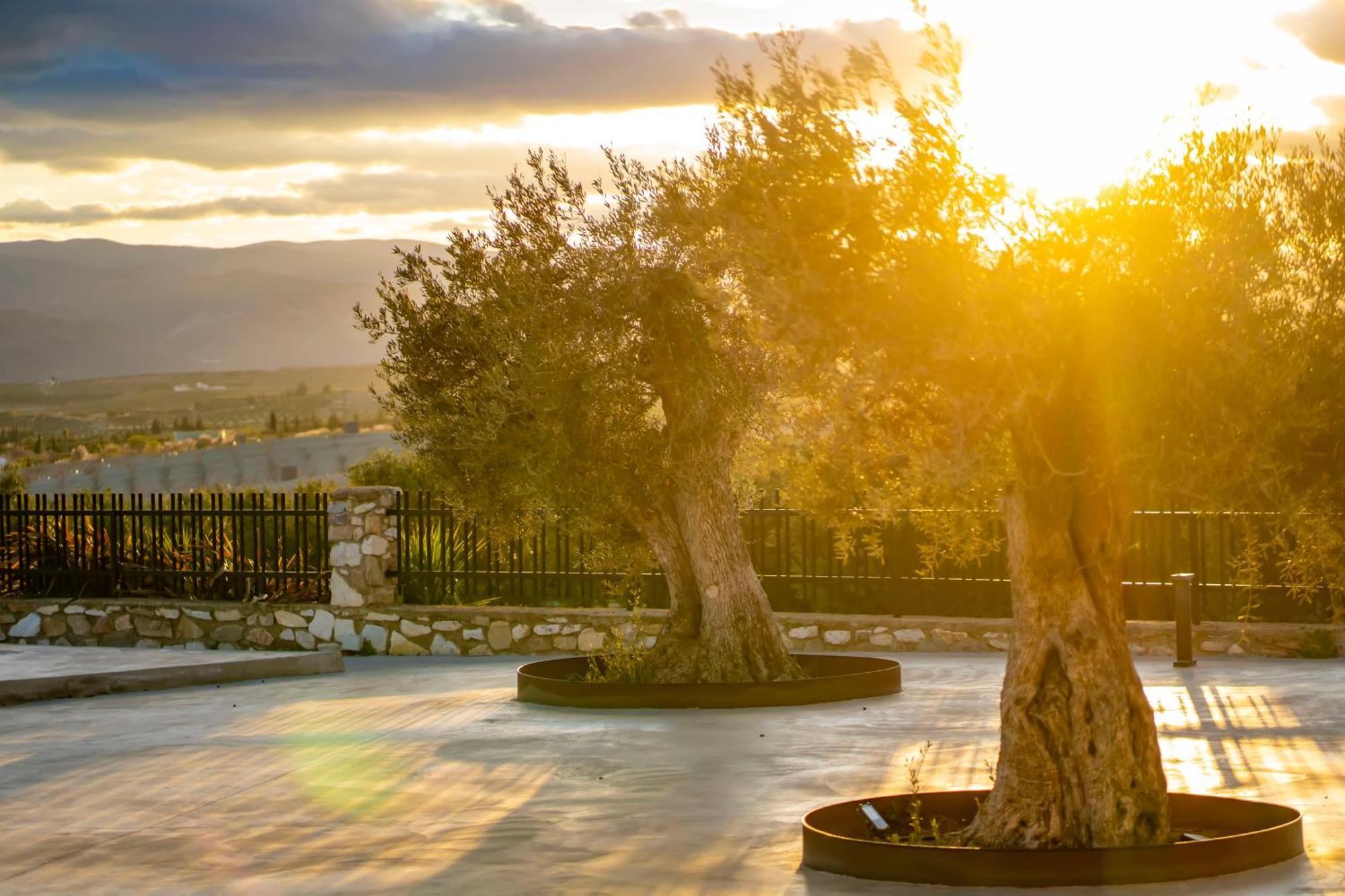 Finca El Espilo Lucar エクステリア 写真