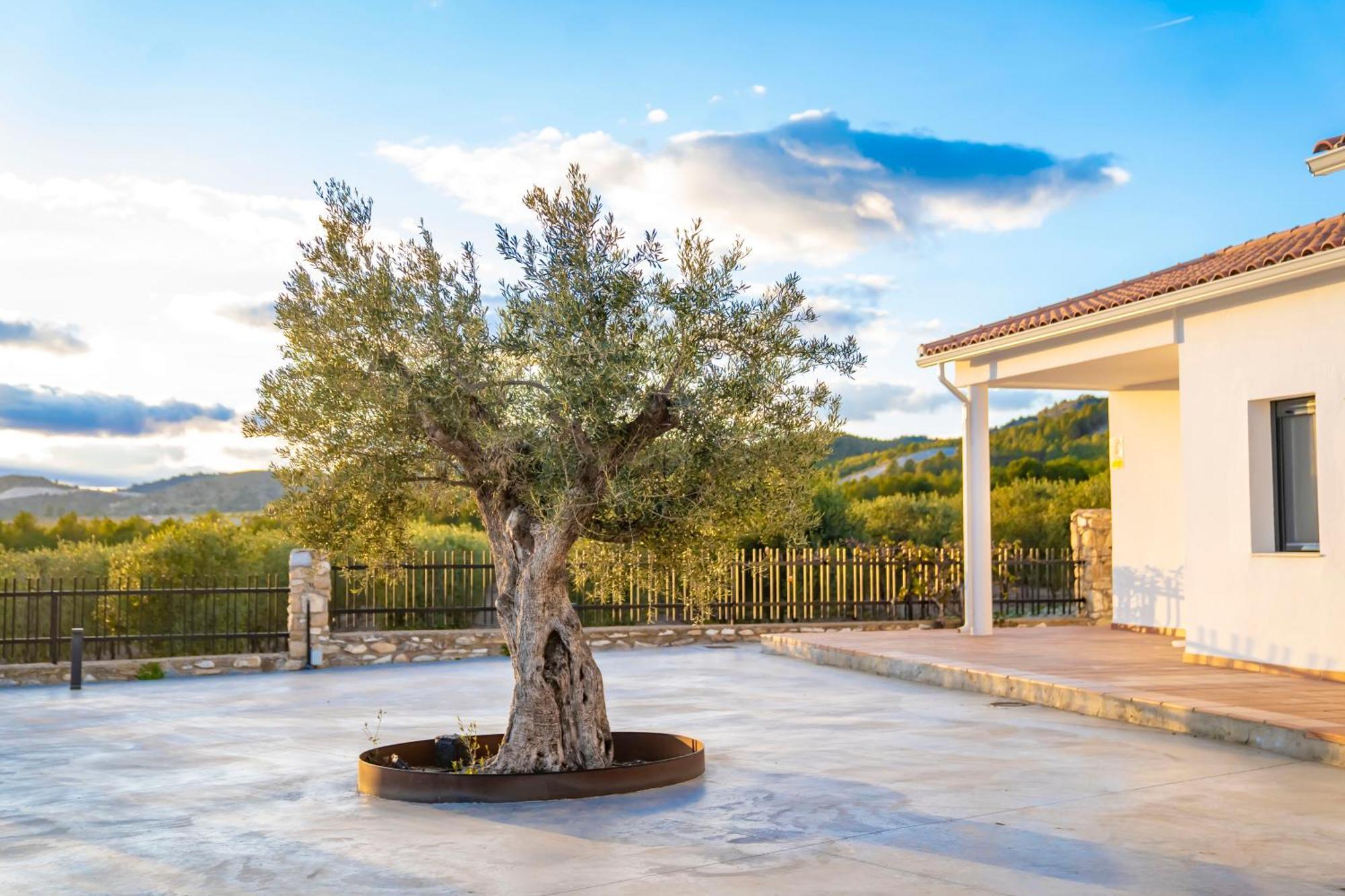 Finca El Espilo Lucar エクステリア 写真