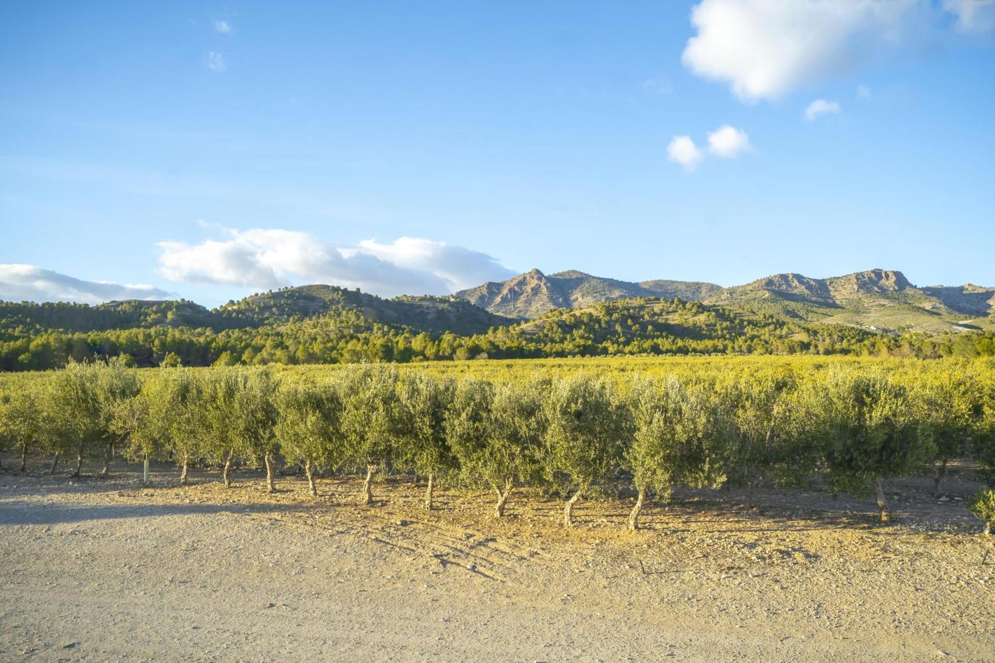 Finca El Espilo Lucar エクステリア 写真